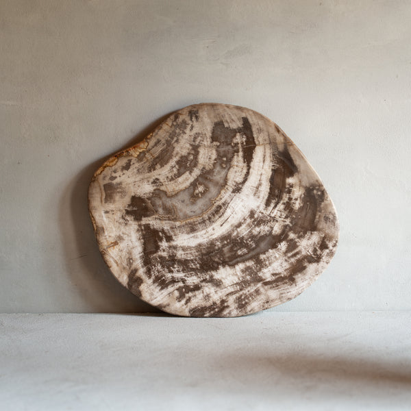Petrified Wood Plate | 'J'