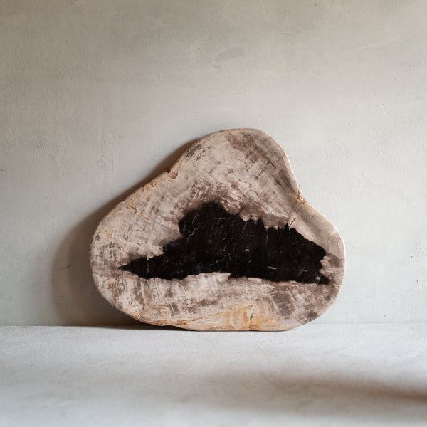 Petrified Wood Plate | 'M'