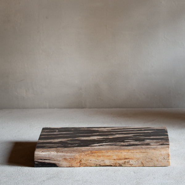 Petrified Wood Slab | Rectangle