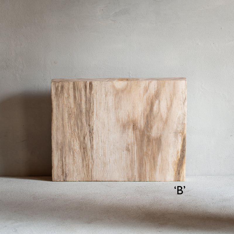 Petrified Wood Slab | Rectangle