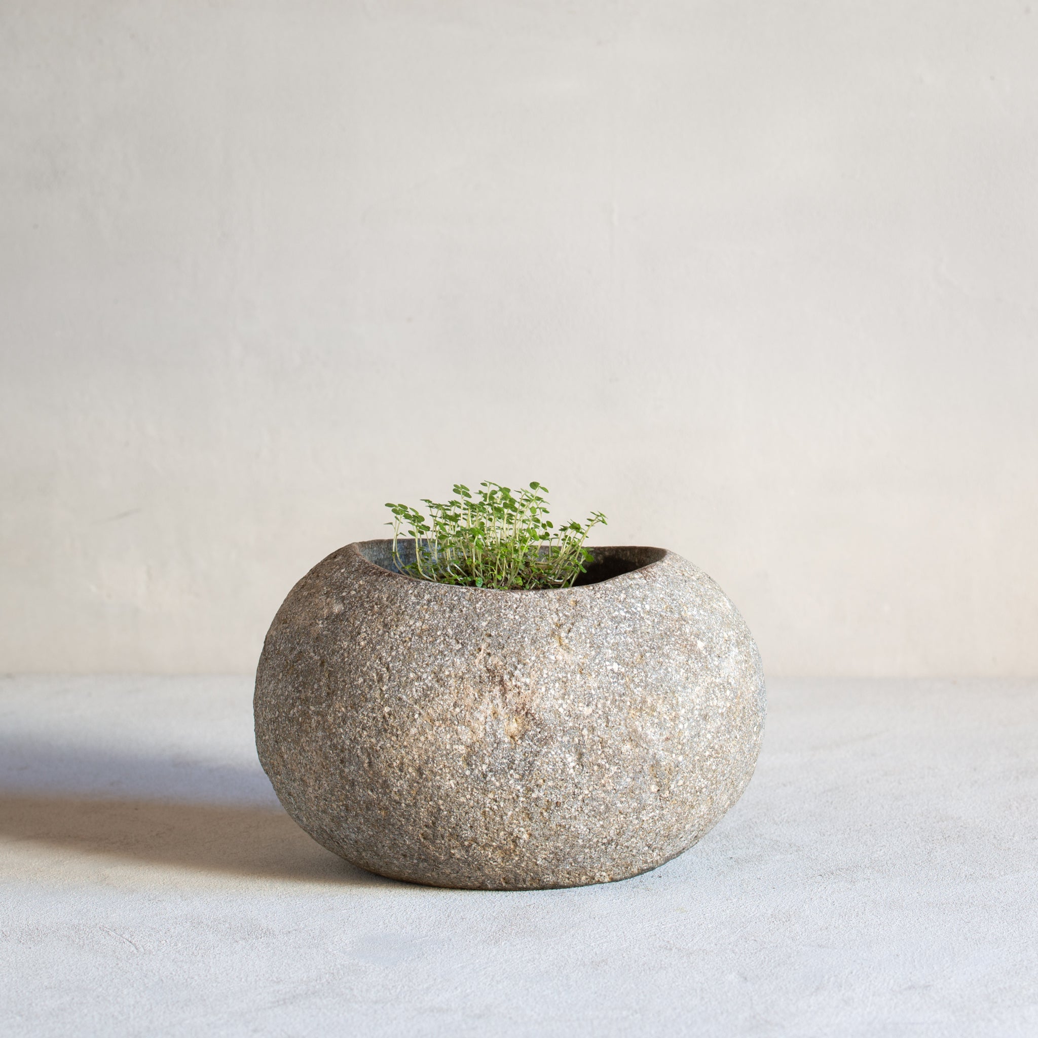 Stone Planter Pot Hollow Rock Planter Folklore Home Store NZ