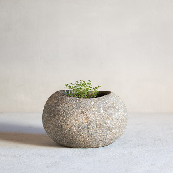 Stone Planter Pot | REGULAR - With Plant